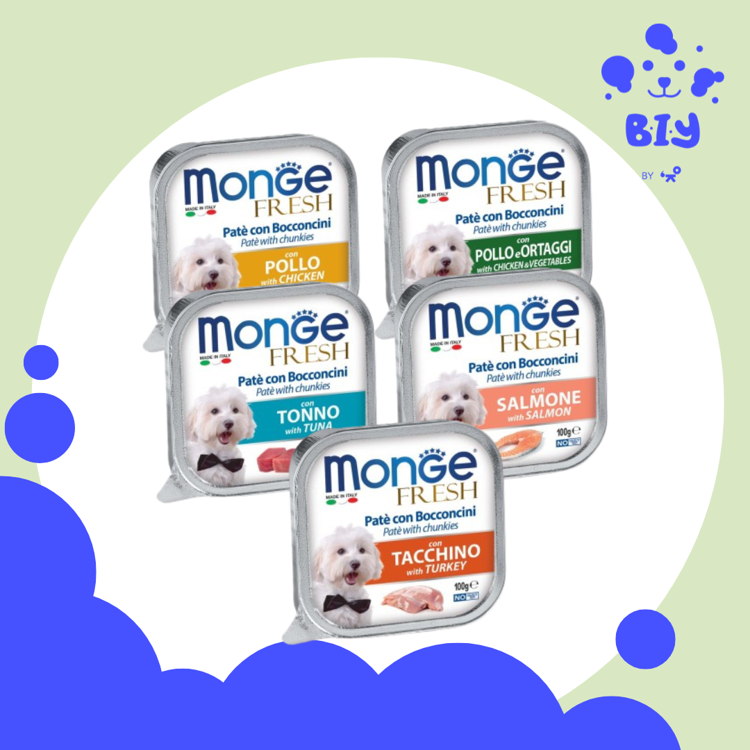 BOW WOW MONGE SQUARE DOG CANNED FOOD 100g