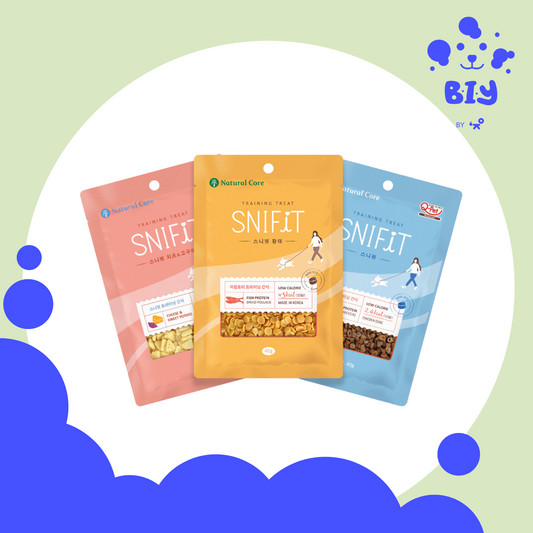 NATURAL CORE SNIFIT TRAINING TREAT 40G
