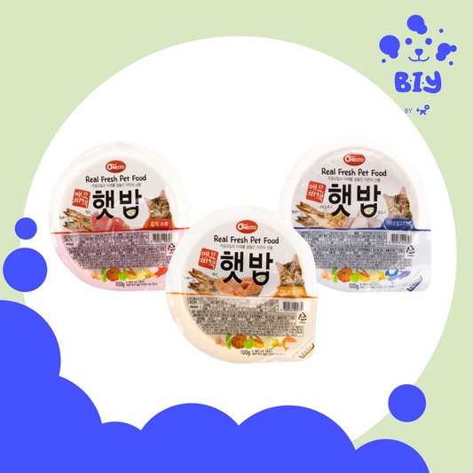 ONESTO CAT SECRET RECIPE WET FOOD 100G