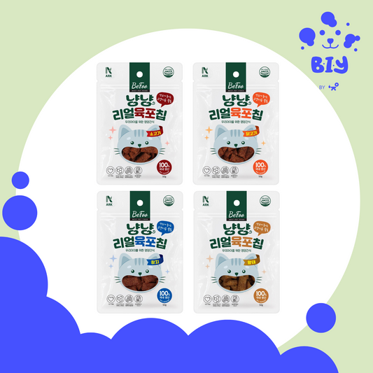 ARK BEFOO REAL NYANG NYANG JERKY CHIPS